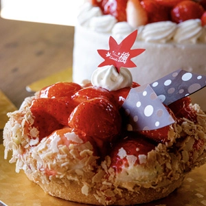 カットケーキ